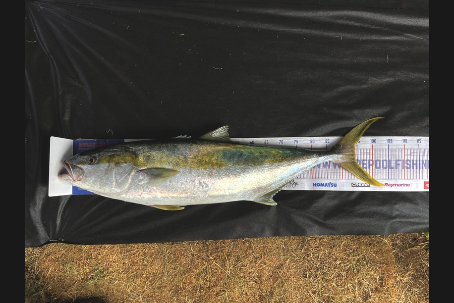 Jack Ogden caught this 94.5cm Kingfish at Taranaki during The Export NZ Fishing Competition