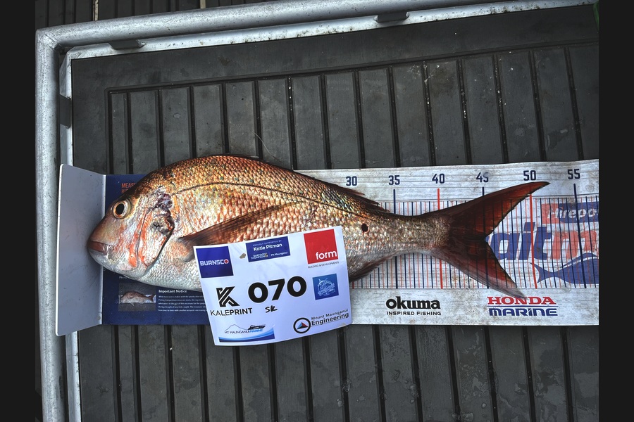 Steve Kale caught this 45.0cm Snapper at Bay of Plenty during The Export NZ Fishing Competition