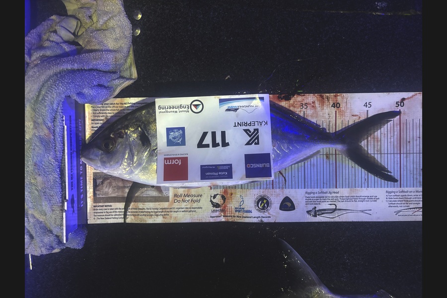 Cody  Burdis caught this 43.5cm Trevally at Bay of Plenty during The Export NZ Fishing Competition