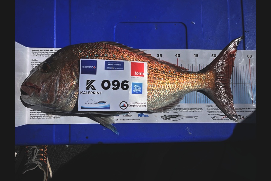 Alister McColl caught this 54.0cm Snapper at Bay of Plenty during The Export NZ Fishing Competition