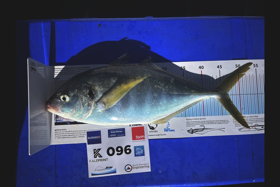 Alister McColl caught this 47.0cm Trevally at Bay of Plenty during The Export NZ Fishing Competition