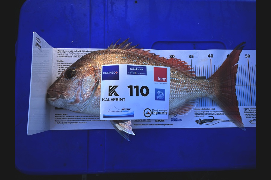Spencer McColl caught this 46.0cm Snapper at Bay of Plenty during The Export NZ Fishing Competition