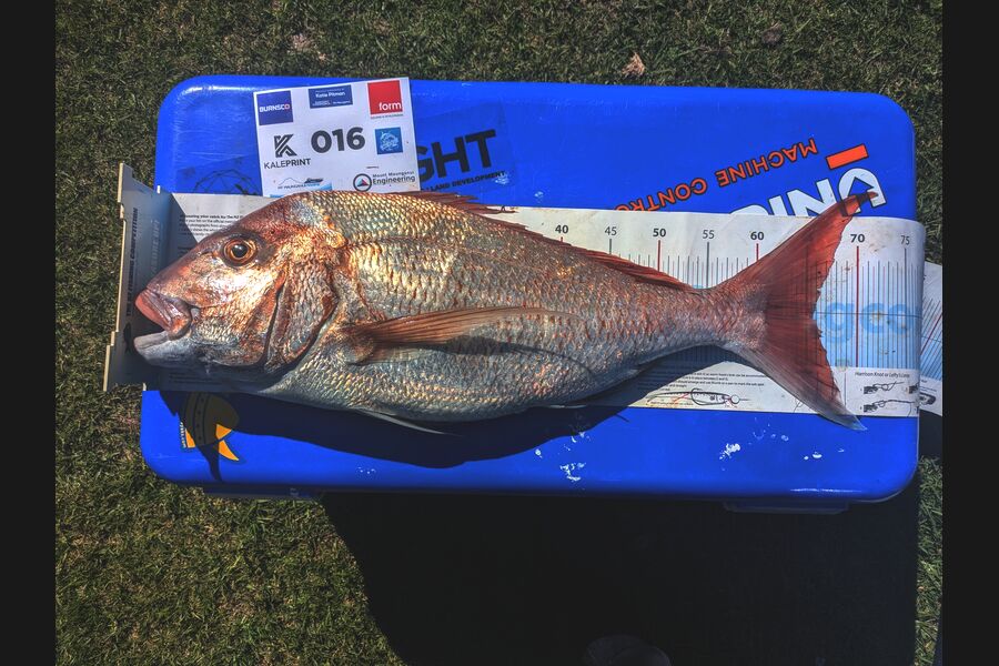Liam Ireton caught this 65.5cm Snapper at Bay of Plenty during The Export NZ Fishing Competition