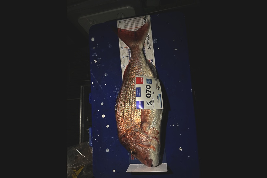 Steve Kale caught this 68.0cm Snapper at Bay of Plenty during The Export NZ Fishing Competition