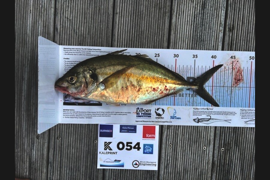 Carol  Ussher caught this 37.0cm Trevally at Bay of Plenty during The Export NZ Fishing Competition