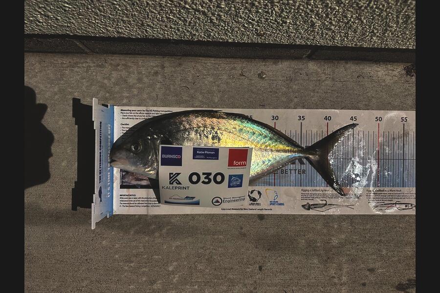 Duncan  Hammon  caught this 40.0cm Trevally at Bay of Plenty during The Export NZ Fishing Competition