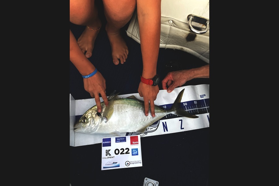 Simon Sheppard caught this 47.0cm Trevally at Bay of Plenty during The Export NZ Fishing Competition