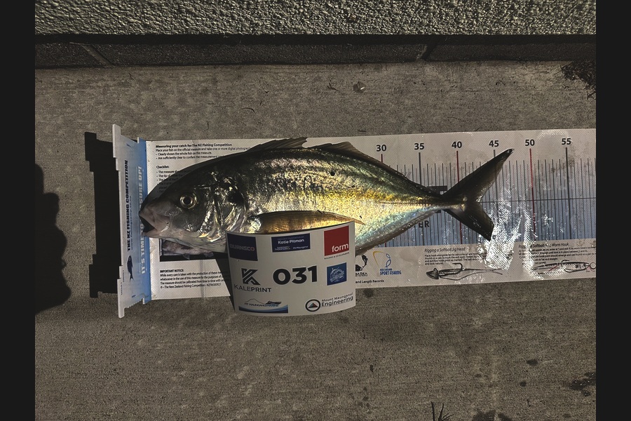 Kirsten Marks caught this 42.5cm Trevally at Bay of Plenty during The Export NZ Fishing Competition
