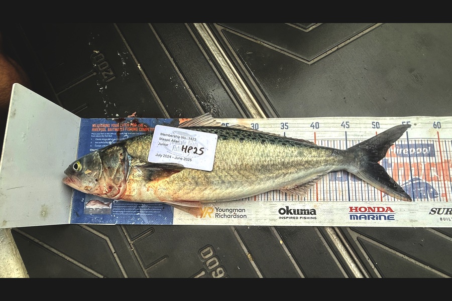 Mason Allan caught this 49.5cm Kahawai at Wellington during The Export NZ Fishing Competition