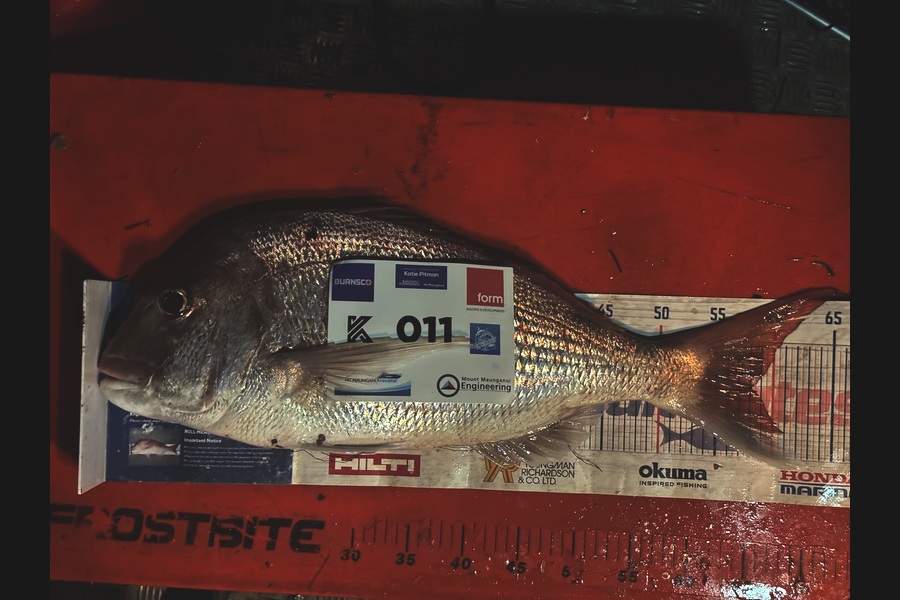 Josh Hough caught this 58.0cm Snapper at Bay of Plenty during The Export NZ Fishing Competition