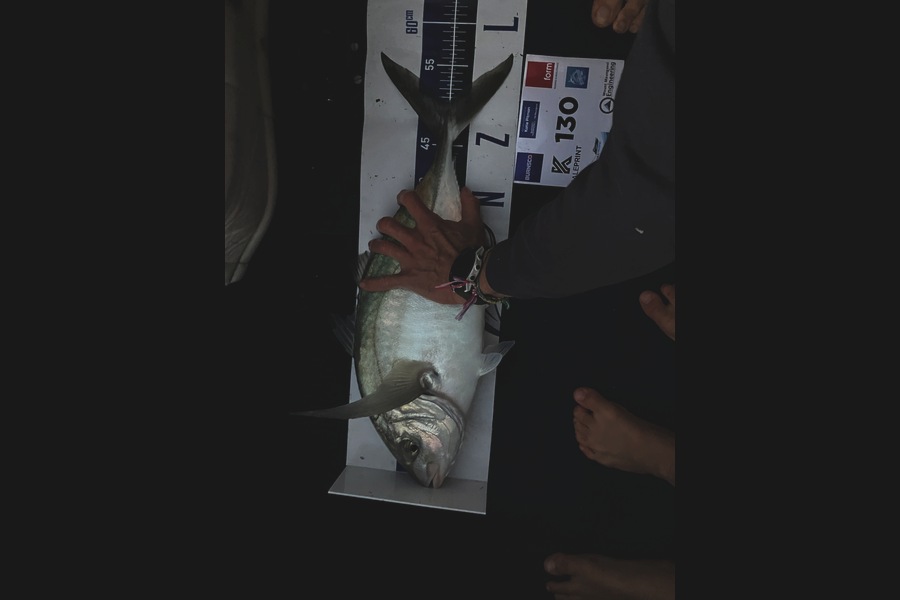 Simon Sheppard caught this 50.5cm Trevally at Bay of Plenty during The Export NZ Fishing Competition