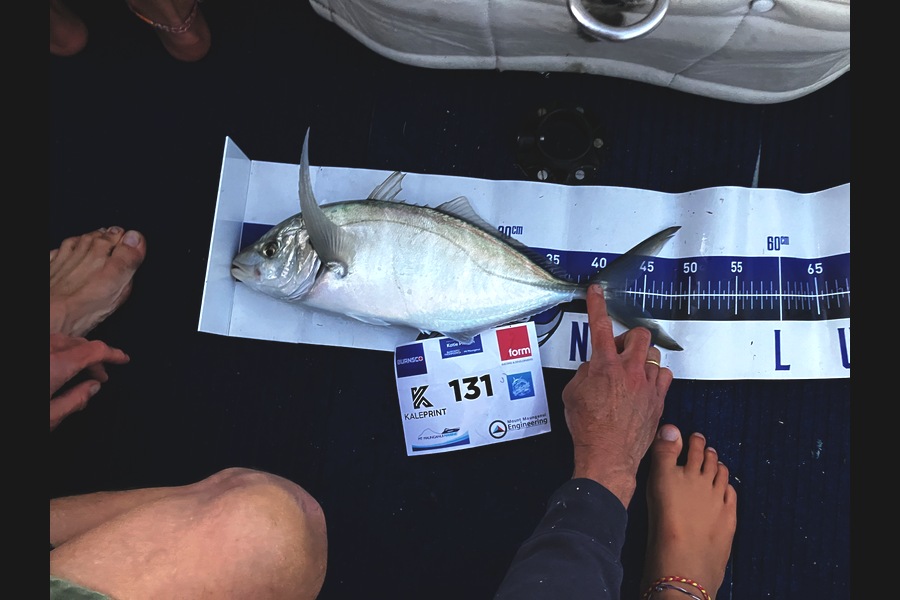 Simon Sheppard caught this 43.5cm Trevally at Bay of Plenty during The Export NZ Fishing Competition