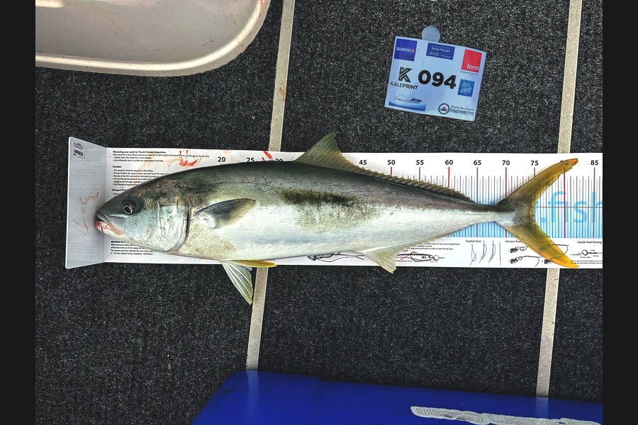 Antony McColl caught this 75.0cm Kingfish at Bay of Plenty during The Export NZ Fishing Competition