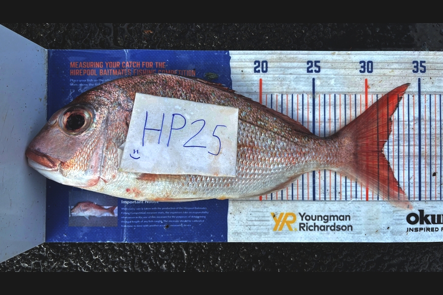 Noah Leaning caught this 31cm Snapper at Auckland during The Export NZ Fishing Competition