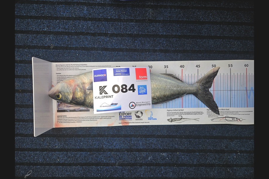 Craig Annan caught this 48.5cm Kahawai at Bay of Plenty during The Export NZ Fishing Competition