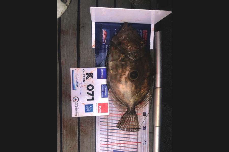 Stephanus Greyling caught this 36.0cm John Dory at Bay of Plenty during The Export NZ Fishing Competition