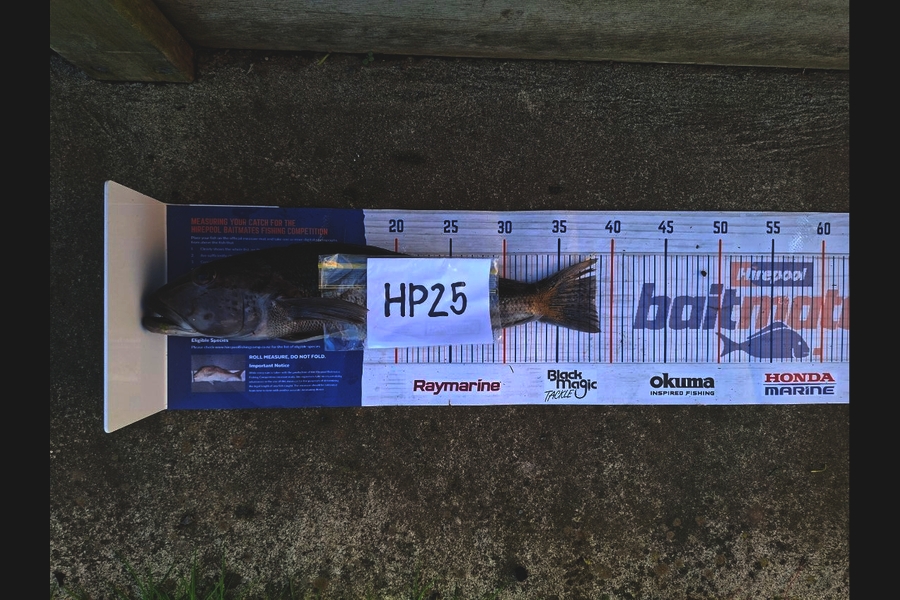 Josh Midgley caught this 38.5cm Blue Cod at Taranaki during The Export NZ Fishing Competition