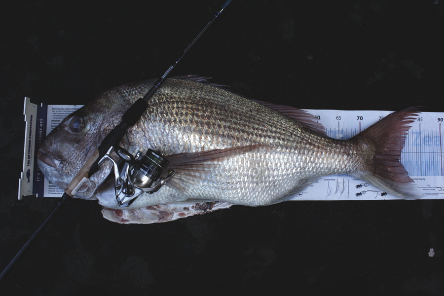 Craig Bartlett caught this 79.5cm Snapper at D'urville Island during The Export NZ Fishing Competition