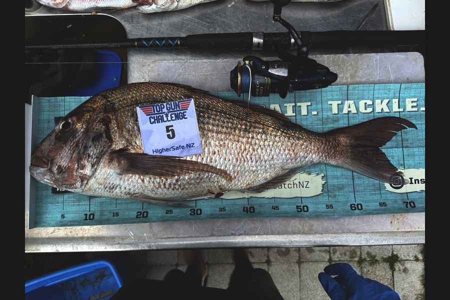 Mark Ray caught this 65.0cm Snapper at Bay of Plenty during The Export NZ Fishing Competition