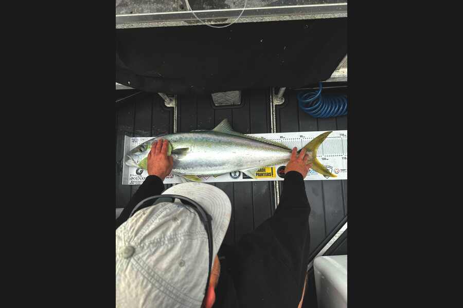 Brad Kennedy caught this 96.5cm Kingfish at Northland during The Export NZ Fishing Competition