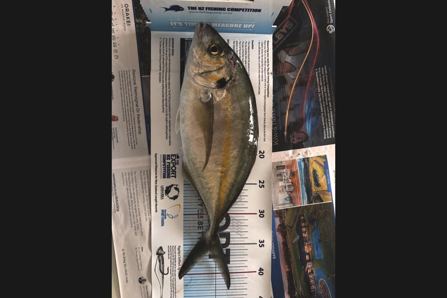 Matthew Muir caught this 36.0cm Trevally at Auckland during The Export NZ Fishing Competition