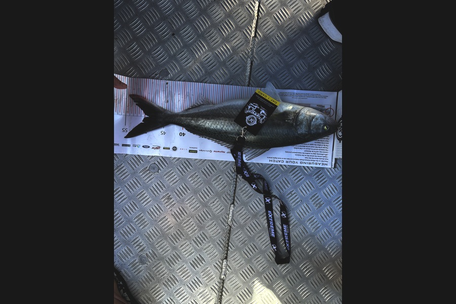 Rebecca Paterson caught this 49.0cm Kahawai at Coromandel during The Export NZ Fishing Competition