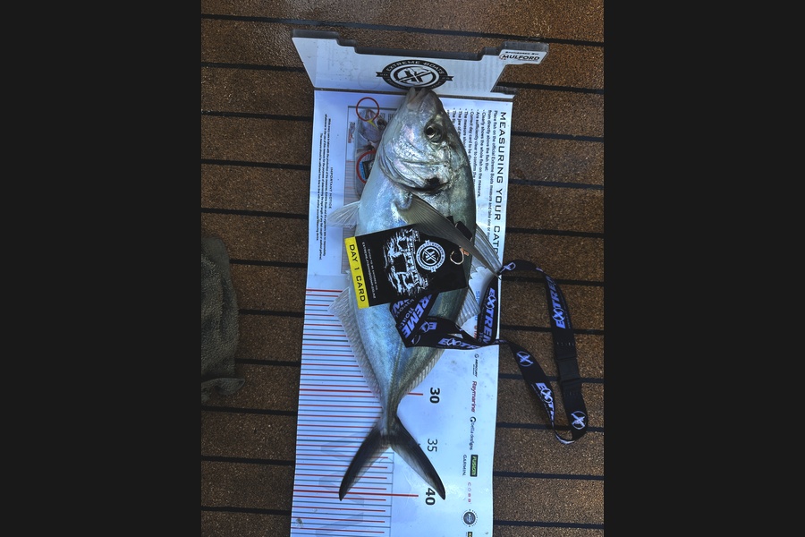 Paul McKnight caught this 35.0cm Trevally at Coromandel during The Export NZ Fishing Competition