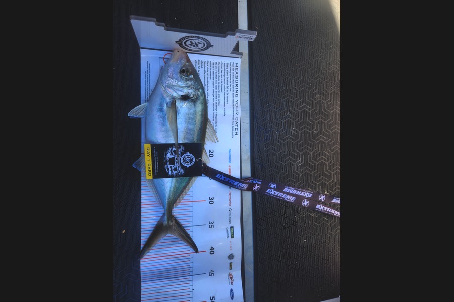 Scott Whitaker caught this 36cm Trevally at Coromandel during The Export NZ Fishing Competition