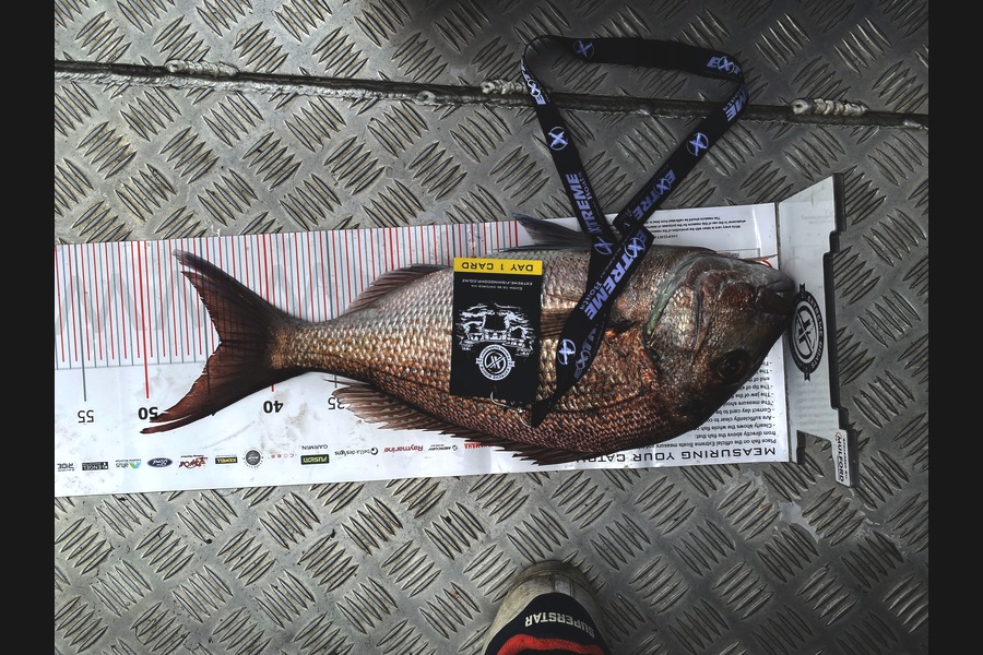 Graham Perkinson caught this 44.0cm Snapper at Coromandel during The Export NZ Fishing Competition