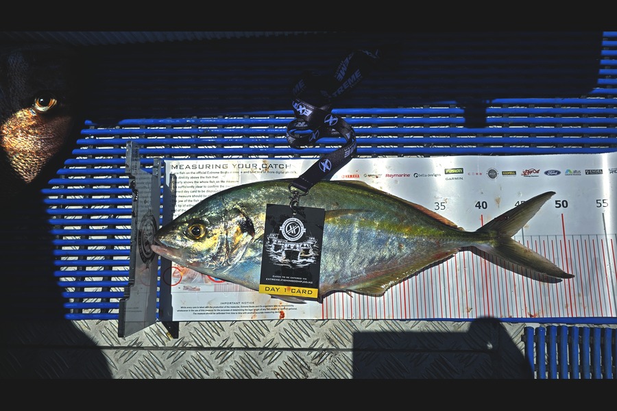Simeon Whitley caught this 43.5cm Trevally at Coromandel during The Export NZ Fishing Competition