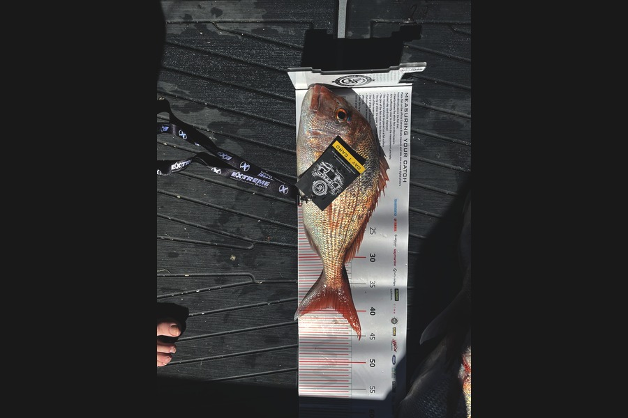 John Whitehead caught this 39.5cm Snapper at Coromandel during The Export NZ Fishing Competition