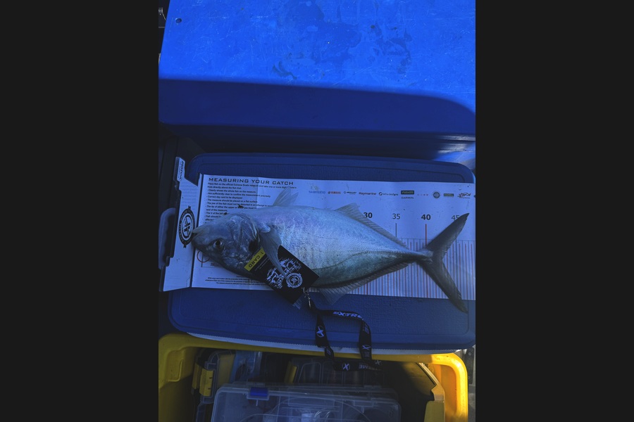 Ruth Shannon caught this 42.5cm Trevally at Coromandel during The Export NZ Fishing Competition