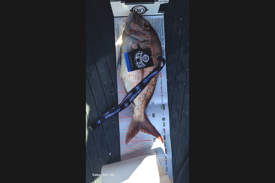 John Whitehead caught this 46.0cm Snapper at Coromandel during The Export NZ Fishing Competition