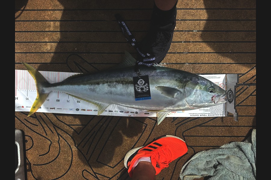 Richard Coombes caught this 90.5cm Kingfish at Coromandel during The Export NZ Fishing Competition