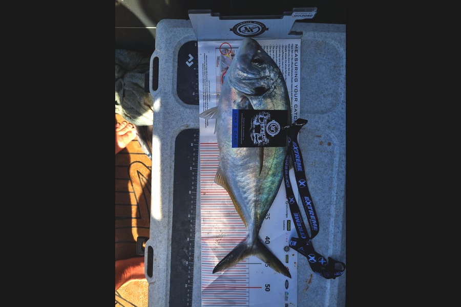 Chris Garland caught this 43cm Trevally at Coromandel during The Export NZ Fishing Competition