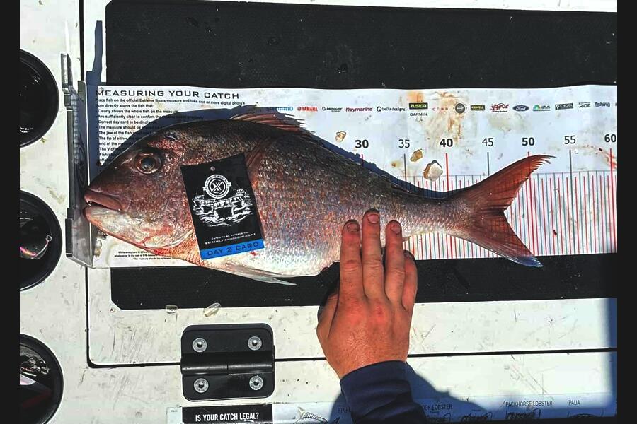 Finn Holmes caught this 46.5cm Snapper at Coromandel during The Export NZ Fishing Competition