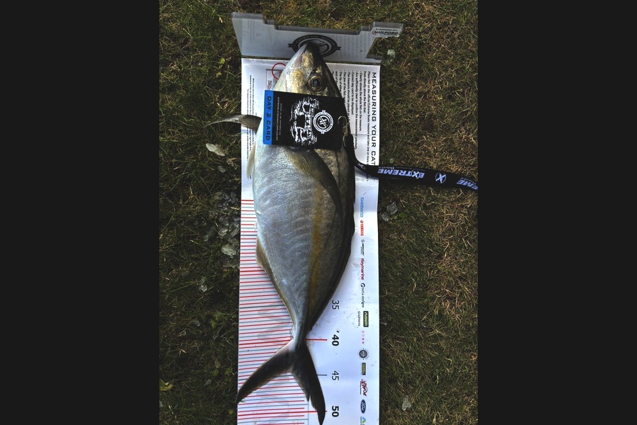 Christopher Eden caught this 44.0cm Trevally at Coromandel during The Export NZ Fishing Competition