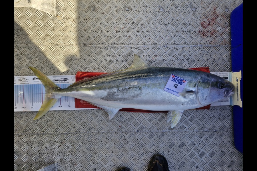 Stuart Roberts caught this 108.5cm Kingfish at Bay of Plenty during The Export NZ Fishing Competition