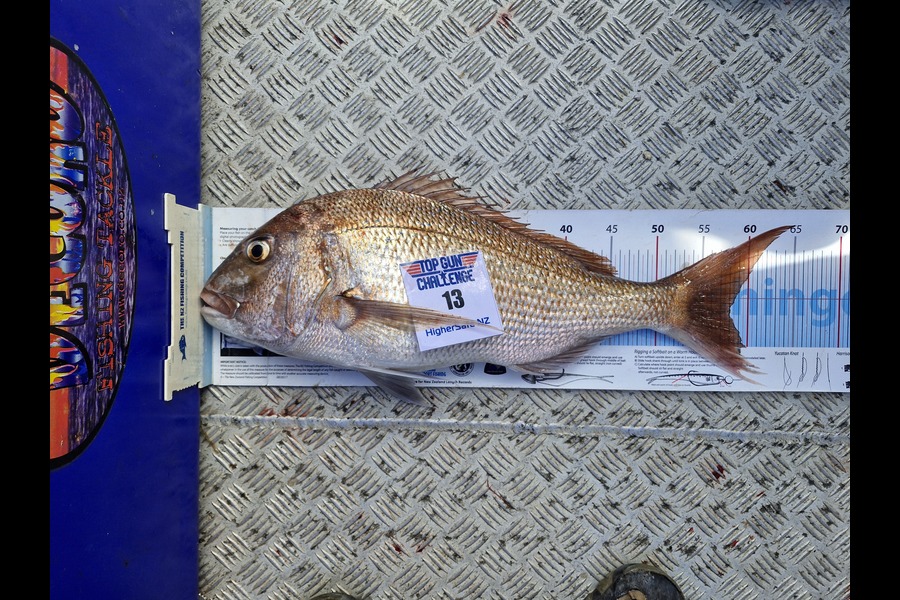 Stuart Roberts caught this 58.0cm Snapper at Bay of Plenty during The Export NZ Fishing Competition