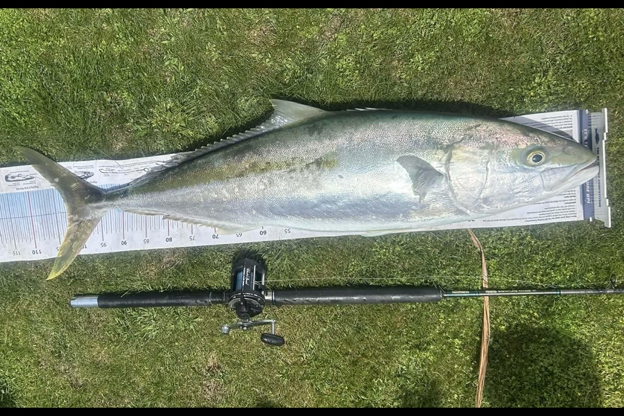 Chris Wheatley caught this 102.5cm Kingfish at Taranaki during The Export NZ Fishing Competition