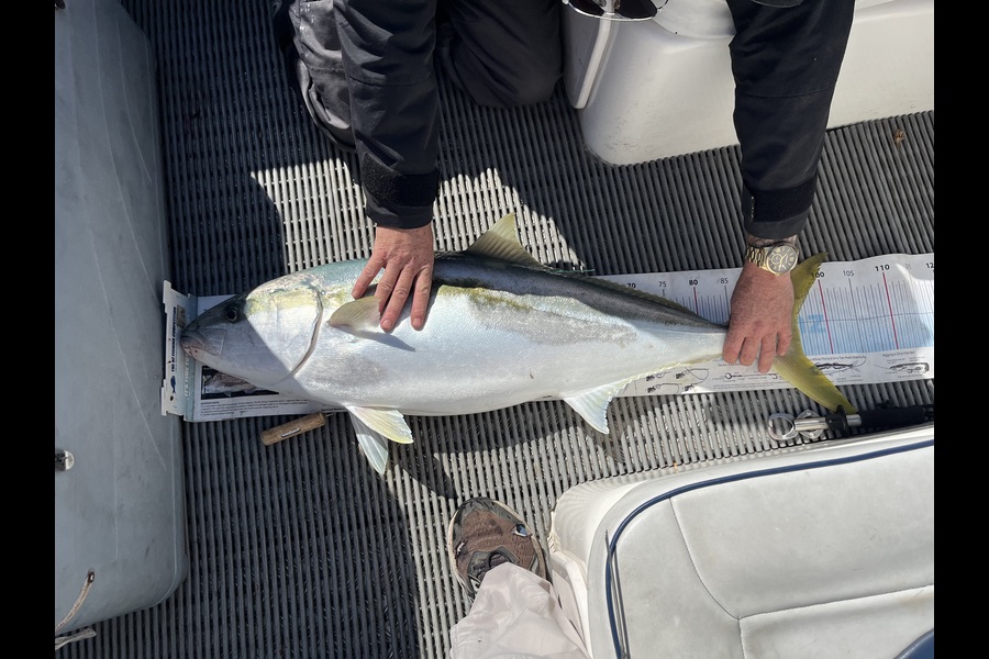 John Button caught this 95.0cm Kingfish at Canterbury during The Export NZ Fishing Competition