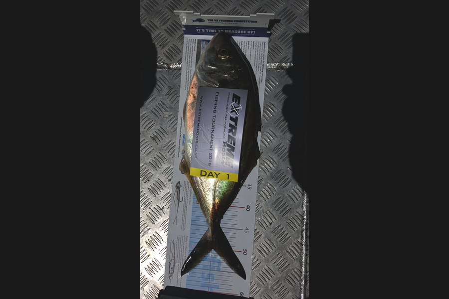 Jonathon Andrews caught this 50.0cm Trevally at Otama beach during The Export NZ Fishing Competition
