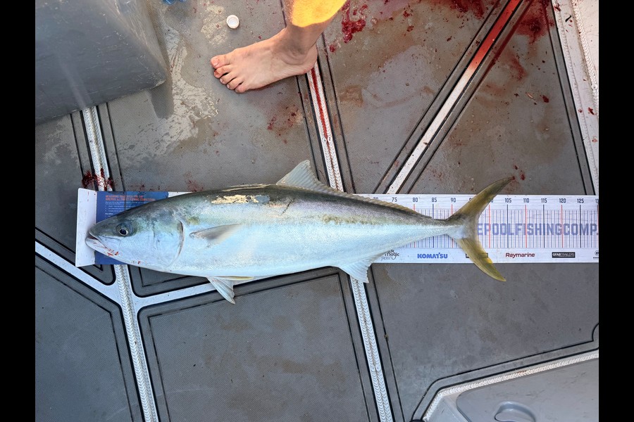Leanne Murray caught this 96.5cm Kingfish at Taranaki during The Export NZ Fishing Competition