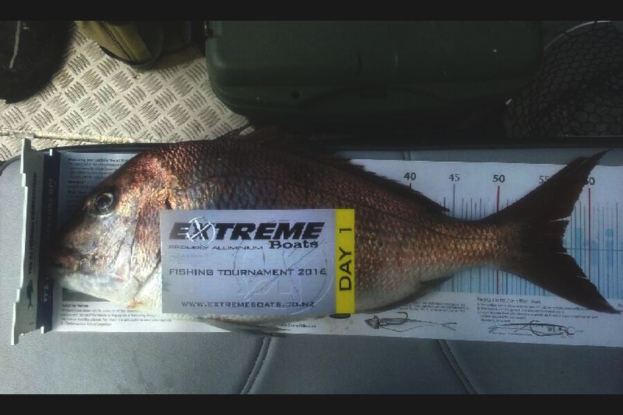 Cheryl Howse caught this 57.0cm Snapper at Red mercury  during The Export NZ Fishing Competition