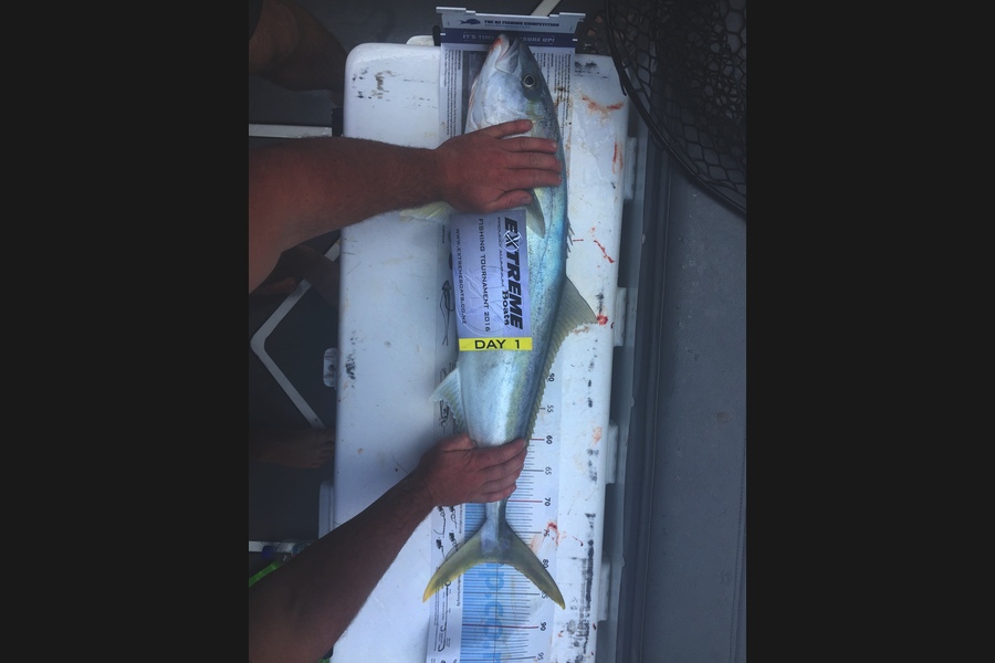 Nick Jones caught this 80.0cm Kingfish at Mercury Islands during The Export NZ Fishing Competition