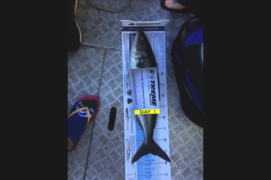 Bryce Norris caught this 55.5cm Kahawai at Richards Rock during The Export NZ Fishing Competition