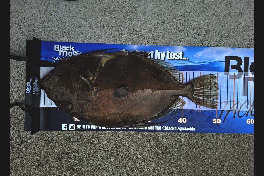Brent Cameron caught this 50.5cm John Dory at Nelson/Marlborough during The Export NZ Fishing Competition