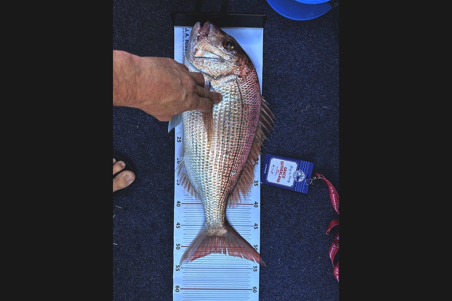 Grace Sutherland caught this 51.5cm Snapper at Bay of Plenty during The Export NZ Fishing Competition