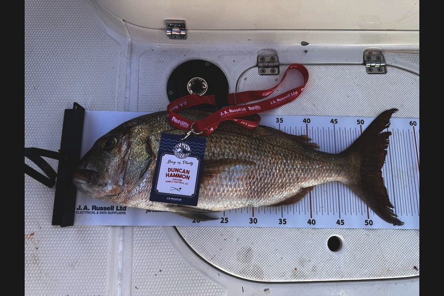 Duncan  Hammon  caught this 53.0cm Snapper at Bay of Plenty during The Export NZ Fishing Competition