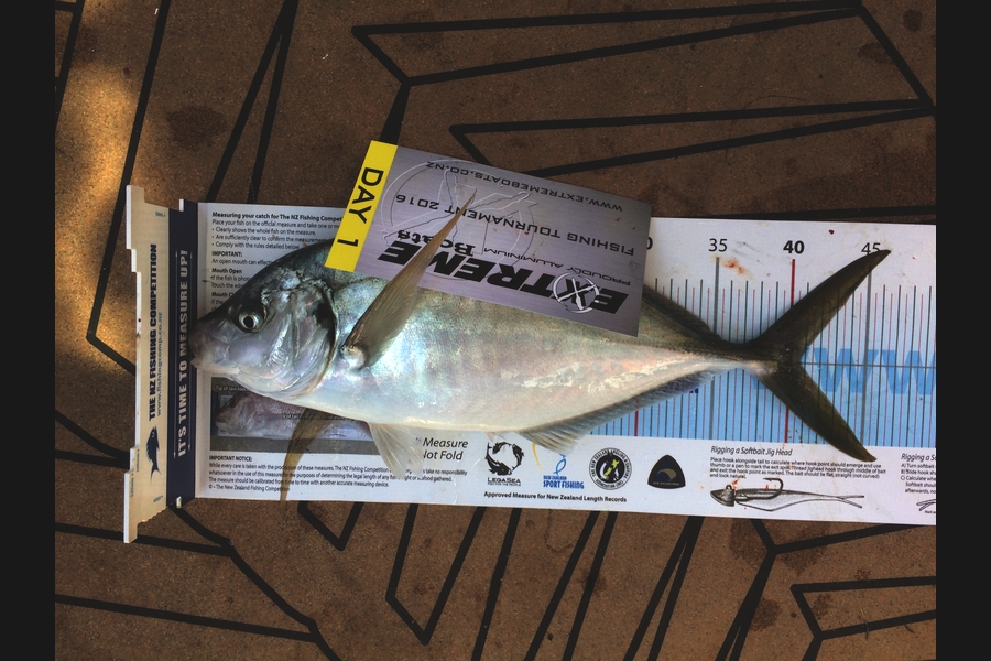 Ian Miller caught this 40.5cm Trevally at Mercury islands  during The Export NZ Fishing Competition